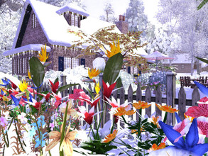 Sims 3 — La solitaire empty by sgK452 — Small cozy housePretty cottage very flowery for couple without child, or sims
