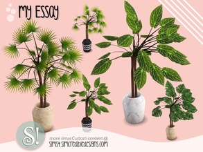 Sims 4 — My Essay plant by SIMcredible! — by SIMcredibledesigns.com available at TSR 3 colors in 9 variations