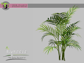 Sims 3 — Erin Plants - Areca Palm by NynaeveDesign — Erin Plants - Areca Palm Located in: Decor - Plants Price: 226