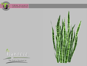 Sims 3 — Erin Plants - Sansevieria by NynaeveDesign — Erin Plants - Sansevieria Located in: Decor - Plants Price: 226