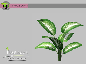 Sims 3 — Erin Plants - Dieffenbachia by NynaeveDesign — Erin Plants - Dieffenbachia Located in: Decor - Plants Price: 226