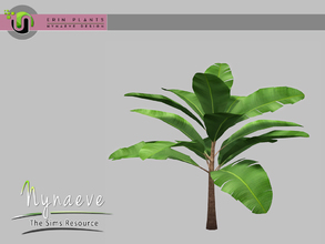 Sims 3 — Erin Plants - Banana Plant (Large) by NynaeveDesign — Located in: Decor - Plants Price: 226 Tiles: 1x1