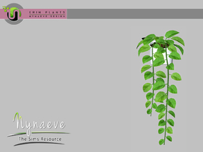 Sims 3 — Erin Plants - Vine by NynaeveDesign — Erin Plants - Vine Located in: Decor - Plants Price: 226 Tiles: 1x1