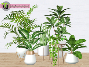 Sims 3 — Erin Plants by NynaeveDesign — It's official - plants make sims happy! Set includes: Croton Banana Plant Areca