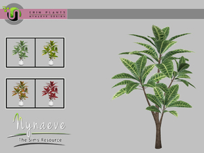 Sims 4 — Croton Plant by NynaeveDesign — Erin Plants - Croton Located in: Decor - Plants Price: 226 Tiles: 1x1 Color