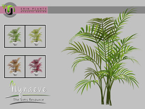 Sims 4 — Areca Palm by NynaeveDesign — Erin Plants - Areca Palm Located in: Decor - Plants Price: 226 Tiles: 2x2 Color