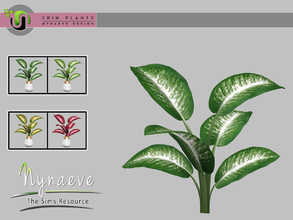 Sims 4 — Dieffenbachia by NynaeveDesign — Erin Plants - Dieffenbachia Located in: Decor - Plants Price: 226 Tiles: 1x1