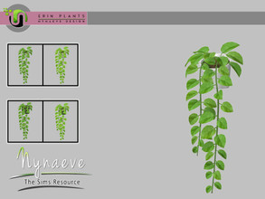 Sims 4 — Vine by NynaeveDesign — Erin Plants - Vine Located in: Decor - Plants Price: 226 Tiles: 1x1 Color options: 4 