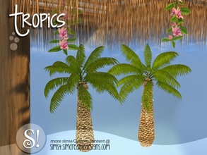 Sims 4 — Tropics outdoor - enlighted palm tree by SIMcredible! — by SIMcredibledesigns.com available at TSR 2 colors in 4