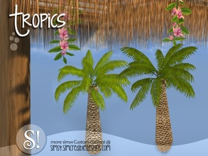 Sims 4 — Tropics outdoor - palm tree by SIMcredible! — by SIMcredibledesigns.com available at TSR 2 colors in 4