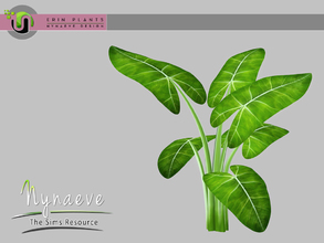 Sims 3 — Erin Plants - Colocasia by NynaeveDesign — Erin Plants - Colocasia Located in: Decor - Plants Price: 226 Tiles: