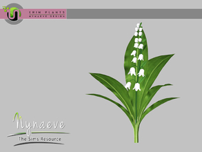 Sims 3 — Erin Plants - Lily of the Valley by NynaeveDesign — Erin Plants - Lily of the Valley Located in: Decor - Plants