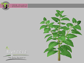 Sims 3 — Erin Plants - Burdock Plant by NynaeveDesign — Erin Plants - Burdock Plant Located in: Decor - Plants Price: 226