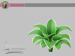 Sims 3 — Erin Plants - Hosta Plant by NynaeveDesign — Erin Plants - Hosta Plant Located in: Decor - Plants Price: 226