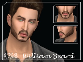 Sims 4 — [CS4] William Beard by Choi_Sims_4 — Facial Hair Male Teen to Elder Available in 8 colors Enjoy :)
