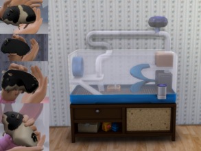 Sims 4 — Blue Hamster Cage With 10 Hamsters by De_Sugarpumpkin — I have edited the EA hamster cage's interiors and pipes