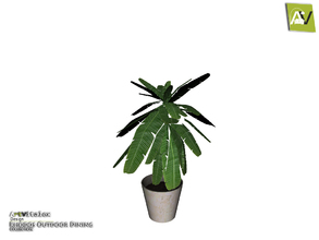 Sims 3 — Rhodos Plant by ArtVitalex — - Rhodos Plant - ArtVitalex@TSR, Dec 2018
