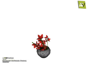 Sims 3 — Brassard Plant Flower by ArtVitalex — - Brassard Plant Flower - ArtVitalex@TSR, Dec 2018
