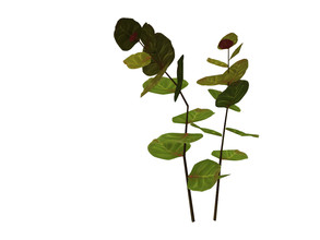 Sims 4 — Small Sea Grapes by sim_man123 — A small version of my Sea Grapes plant, as part of my Coastal Beach Plants set.