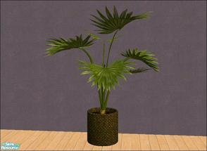 Sims 2 — BOLG Living Room [Plant] by Lola — BOLG Living Room. Bright & Contempary Living Room With Rustic Wood