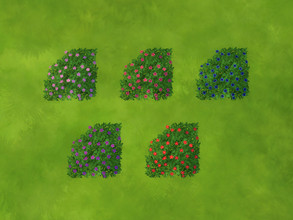 Sims 4 — Recolors Perennial Hydrangea Curved by texxasrose — Five recolors of Maxis Peremmial Hydrangea curved.