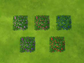 Sims 4 — Recolors Perennial Hydrangea Square by texxasrose — Five recolors of Maxis Perennial Hydrangea square