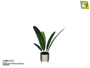 Sims 4 — Waquoit Plant by ArtVitalex — - Waquoit Plant - ArtVitalex@TSR, Sep 2019