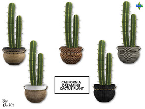 Sims 4 — California Dreaming Cactus Plant by Chicklet — Part of the California Dreaming Living Room Includes: Cactus