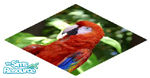 Sims 1 — Rug - Parrot by hacc2258 — Ahoy mates and bird lovers buy this rug for your Parrots, or just jazz up the place