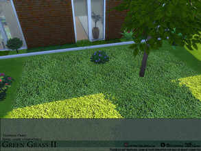 Sims 4 — Green Grass II by Silerna — Bright grass terrian paint for sims 4