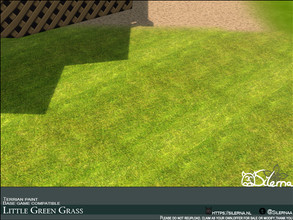 Sims 4 — Little Green Grass by Silerna — Grass terrian paint for Sims 4