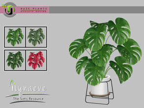 Sims 4 — Haze Monstera Plant by NynaeveDesign — Haze Plants - Monstera Plant Found Under: Decor - Plants Price: 72 Tiles: