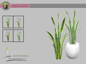 Sims 4 — Haze Snake Plant by NynaeveDesign — Haze Plants - Snake Plant Found Under: Decor - Plants Price: 72 Tiles: 1x1