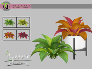 Sims 4 — Haze Giant Mustard Plant by NynaeveDesign — Haze Plants - Giant Mustard Plant Found Under: Decor - Plants Price: