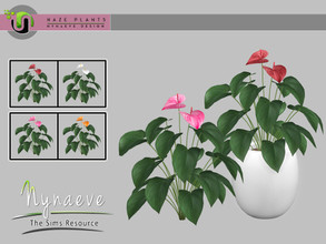 Sims 4 — Haze Flamingo Flower by NynaeveDesign — Haze Plants - Flamingo Flower Found Under: Decor - Plants Price: 72