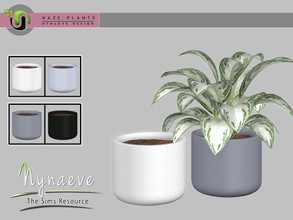 Sims 4 — Haze Flowerpot V4 by NynaeveDesign — Haze Plants - Flowerpot V4 Found Under: Decor - Plants Price: 72 Tiles: 1x1