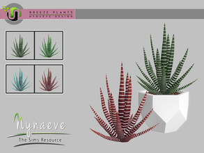 Sims 4 — Breeze Zebra Cactus by NynaeveDesign — Breeze Plants - Zebra Cactus Found Under: Decor - Plants Price: 71 Tiles: