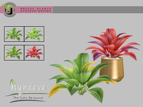 Sims 4 — Breeze Aida Plant by NynaeveDesign — Breeze Plants - Aida Found Under: Decor - Plants Price: 71 Tiles: 1x1 Color