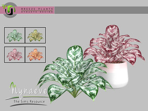 Sims 4 — Breeze Aglaonema Plant by NynaeveDesign — Breeze Plants - Aglaonema Found Under: Decor - Plants Price: 71 Tiles: