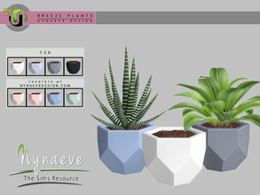Sims 4 — Breeze Geometric Planter by NynaeveDesign — Breeze Plants - Geometric Planter Found Under: Decor - Plants Price: