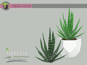 Sims 3 — Breeze Zebra Cactus by NynaeveDesign — Breeze Plants - Zebra Cactus Found Under: Decor - Plants Price: 71 Tiles: