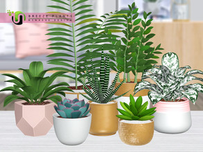 Sims 3 — Breeze Plants by NynaeveDesign — Add life and greenery to any dull corner of your sim's home with these
