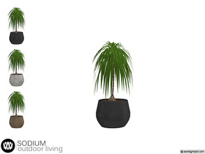 Sims 4 — Sodium Plant by wondymoon — - Sodium Outdoor Living - Plant - Wondymoon|TSR - Creations'2020