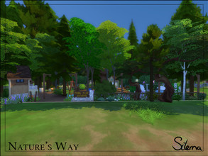 Sims 4 — Nature's Way by Silerna — Feel like camping but with a bit more company? How about going camping on a camping?