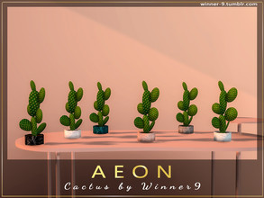 Sims 4 — Aeon Cactus by Winner9 — Cactus from my office set Aeon, you can find it easy in your game by typing Winner9 or