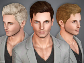 Sims 3 — #200D - Male Hairstyle by Cazy — Hairstyle D variant of #200 for Teen, Young Adult, Adult and Elder Males