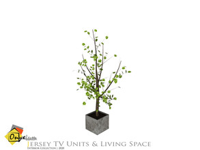 Sims 4 — Jersey Big Plant by Onyxium — Onyxium@TSR Design Workshop Living Room Collection | Belong To The 2020 Year