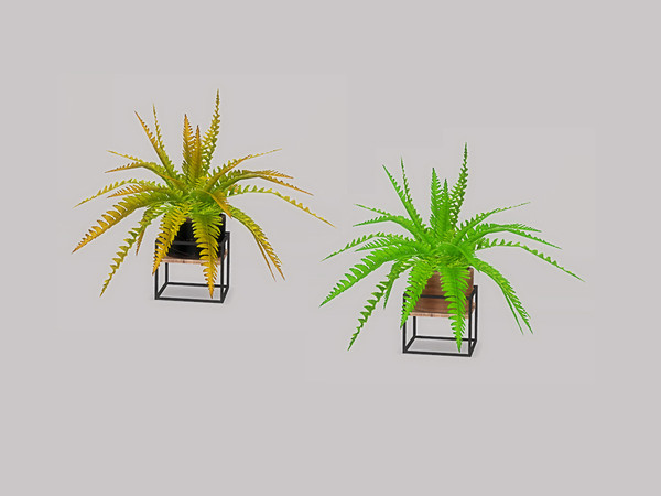 Sims 4 — Bathroom Angi Decor - Plant 1 by ung999 — Bathroom Angi Decor - Plant 1 Color Options : 2