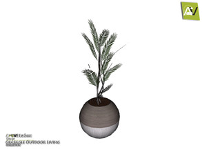 Sims 4 — Graeagle Plant by ArtVitalex — - Graeagle Plant - ArtVitalex@TSR, Apr 2020