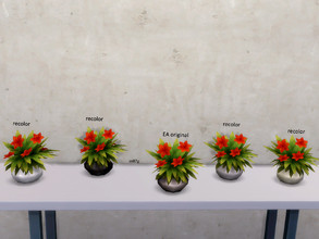 Sims 4 — red flowers by so87g — Collection of plants. Set of 4 plants. Cost : 50 you can found it in decorations - plants